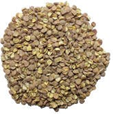 Dried Lentils Brown Round product image