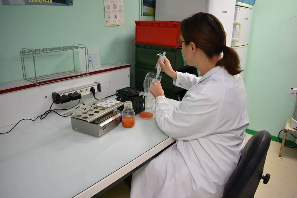 quality department - Elchais