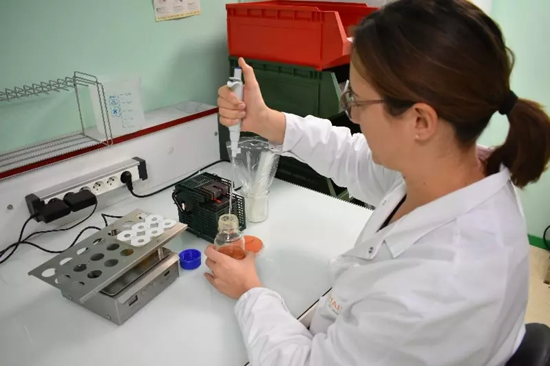 quality department - Elchais